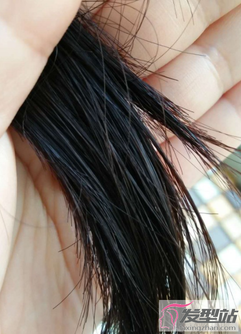 头发分叉容易断是怎么回事 头发分叉断裂的原因及解决