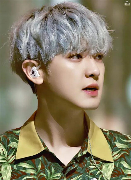 exo朴灿烈发型纹理烫塑造花样美男