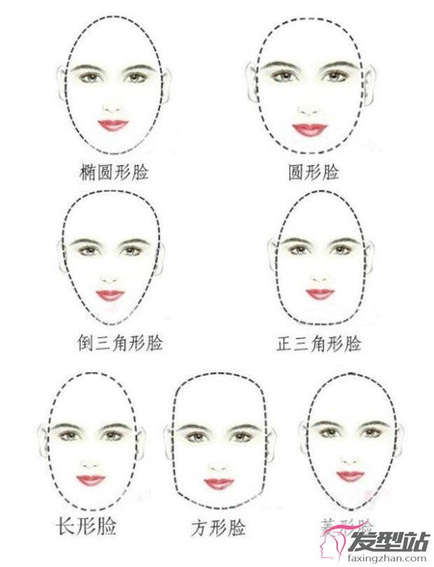 脸型分类图你的脸是什么脸型